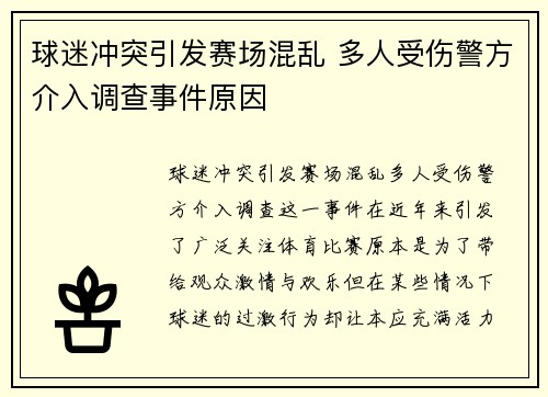 球迷冲突引发赛场混乱 多人受伤警方介入调查事件原因